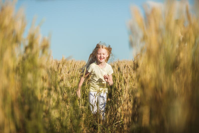 Happy cute girl playing in the wheat field stock image Happy cute girl playing in the wheat field stock image
