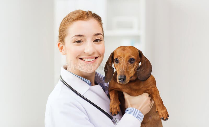 342 People Holding Sick Animals Stock Photos - Free & Royalty-Free Stock  Photos from Dreamstime
