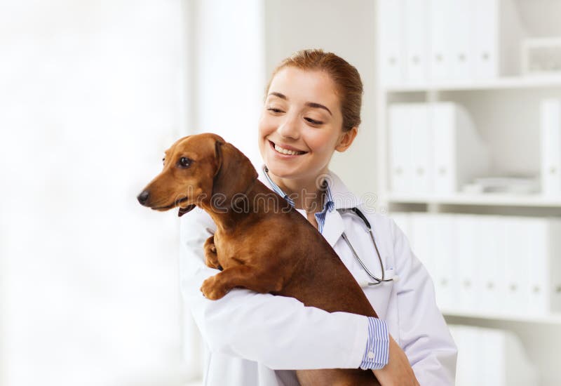 342 People Holding Sick Animals Stock Photos - Free & Royalty-Free Stock  Photos from Dreamstime