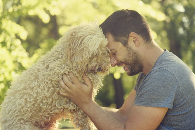 Happy dog and his owner. Man with his dog hugging and playing outdoor in the park. Young owner having fun with his pet in nature stock images