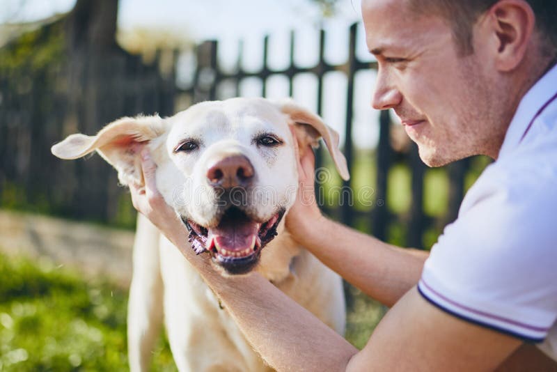 Happy dog and his owner