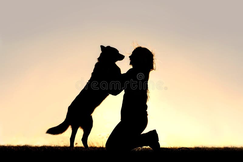 Silueta de feliz Alemán mezclar el perro es un saltando arriba sobre el saludar mujer joven, su, antes el cielo.