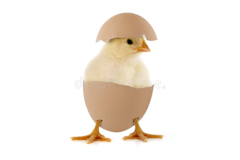 Paște fericit stock photos