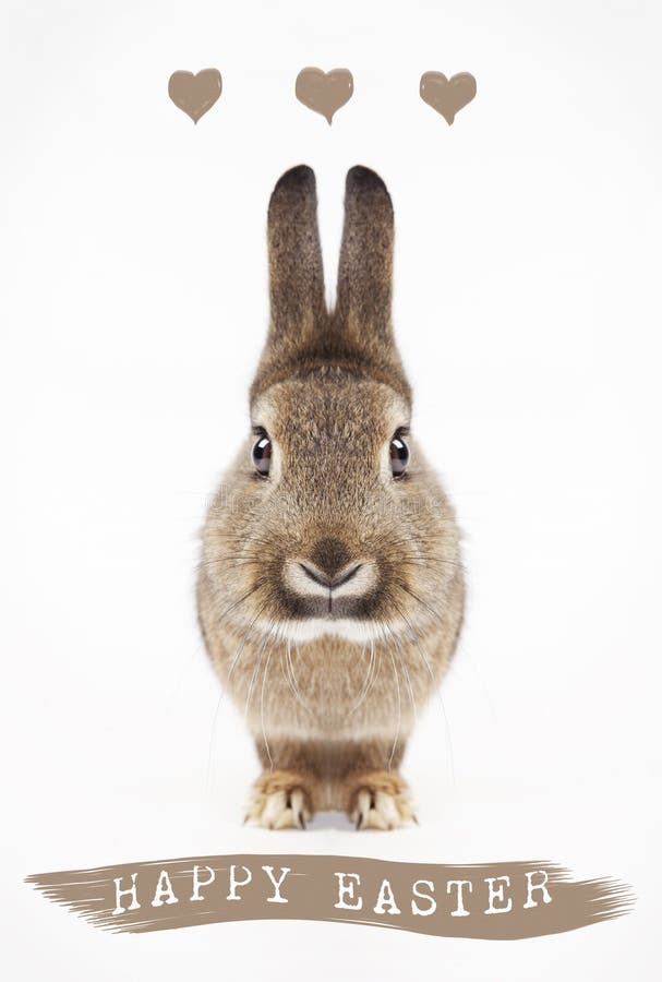 Harpy hare mysticmuse Harpy hare mysticmuse