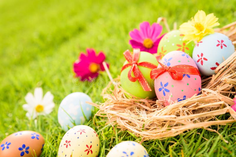 Happy easter! Closeup Colorful Easter eggs in nest