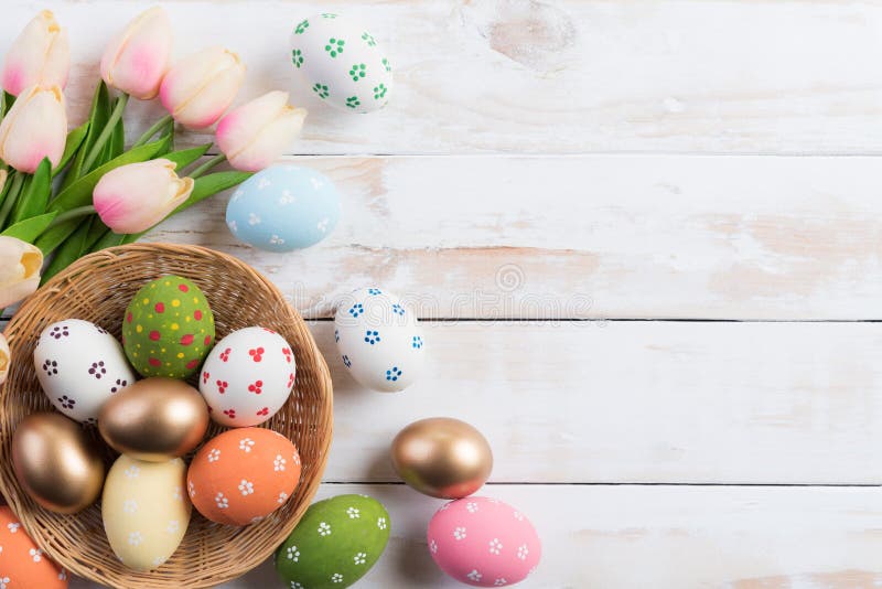 Happy easter! Colourful of Easter eggs in nest with pink tulip flower and Feather on wooden background