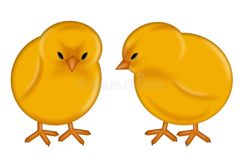 Baby Chicks Stock Illustrations – 2,713 Baby Chicks Stock Illustrations,  Vectors & Clipart - Dreamstime