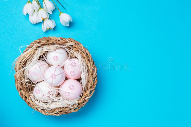 Happy Easter greeting card template. Top view of colorful eggs with straw in a wicker basket and white spring flowers on a blue stock image Happy Easter greeting card template. Top view of colorful eggs with straw in a wicker basket and white spring flowers on a blue stock image