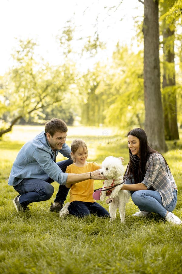 Happy Family with Cute Bichon Dog in the Park Stock Photo - Image of ...