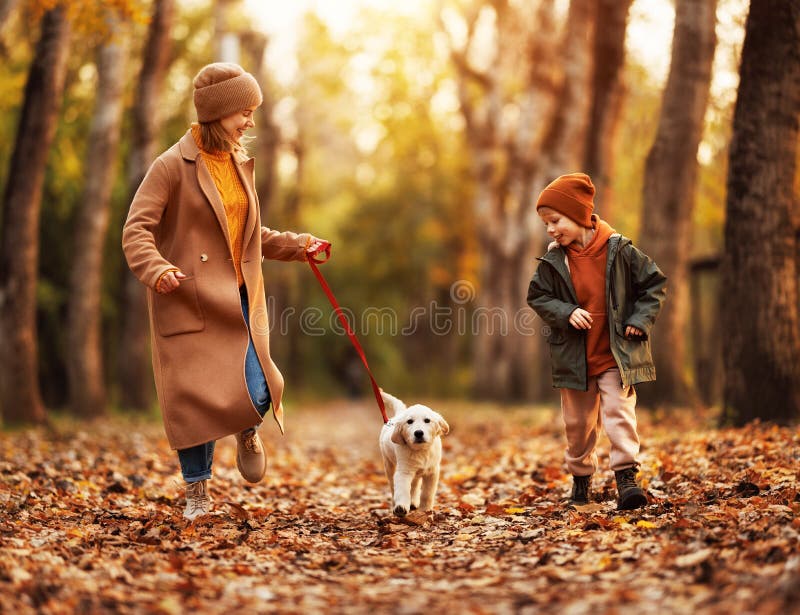 Happy family mother and little boy son walking with golden retriever puppy in park on autumn day