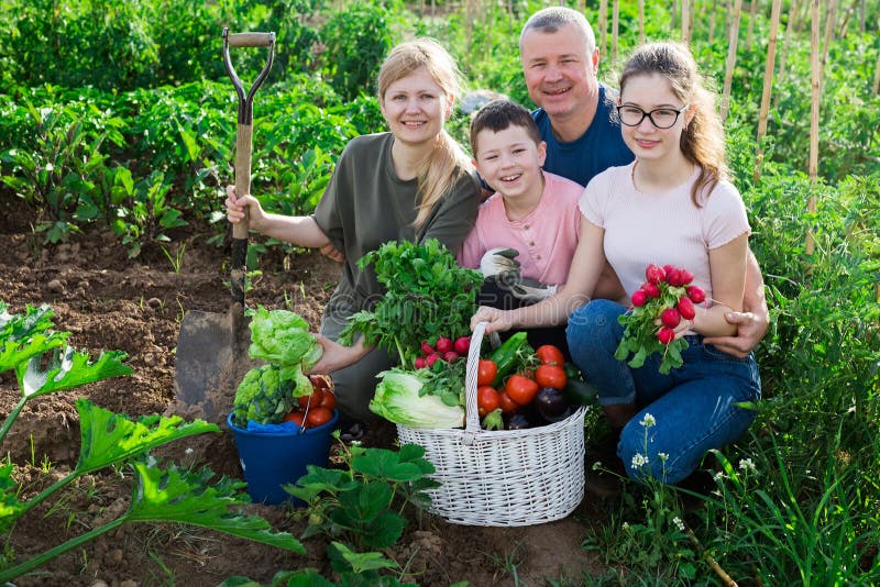 Happy family posing with basket of ripe vegetables on field