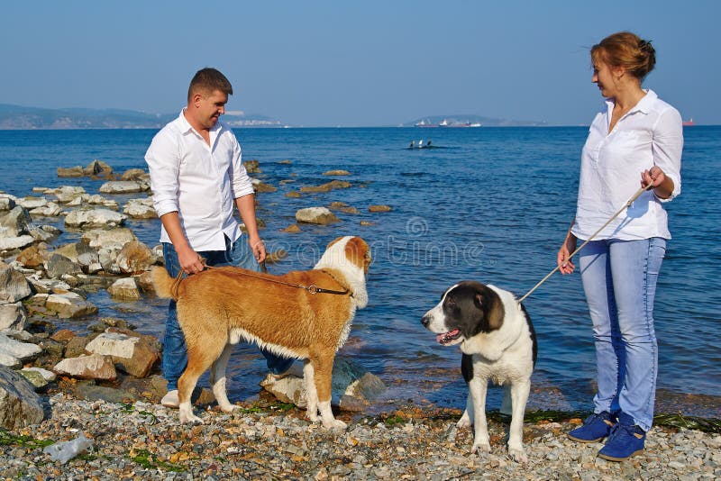 Happy family walks with two large dogs on the beach royalty free stock images Happy family walks with two large dogs on the beach royalty free stock images