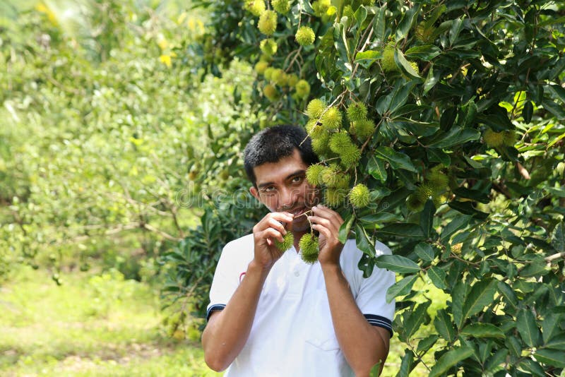 happy farmer bokashi happy farmer bokashi