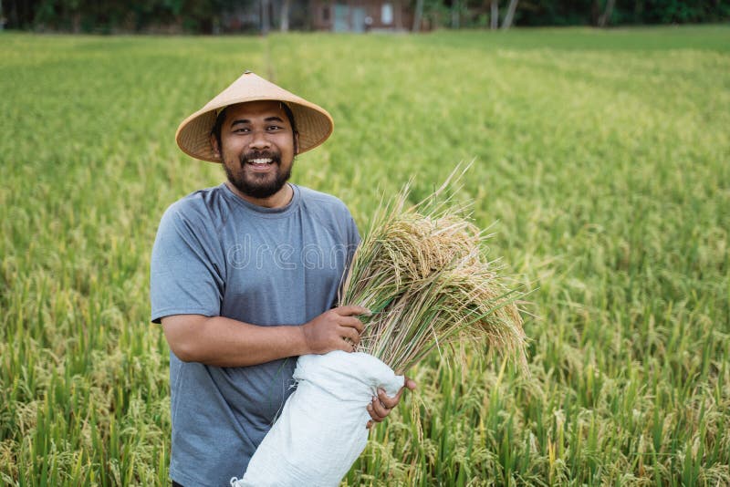 happy farmer basoon happy farmer basoon