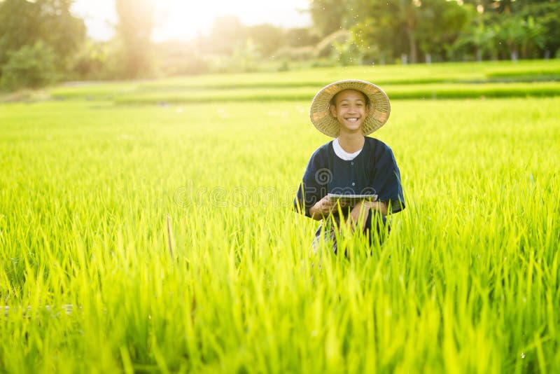 Happy farmer in middle green organic rice farm stock photo Happy farmer in middle green organic rice farm stock photo