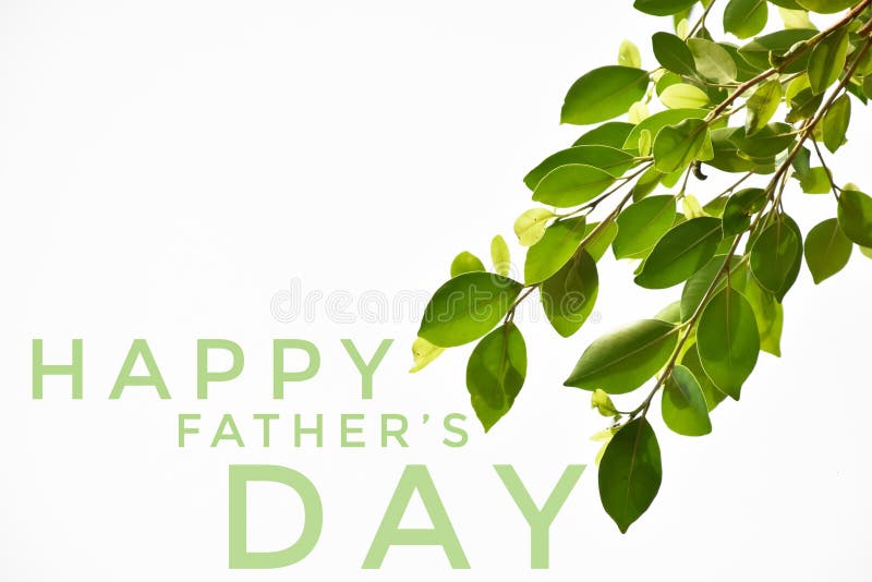 Happy Father`s Day Card for inviting, greeting and postcard. Text greeting stock images, royalty-free photos and pictures