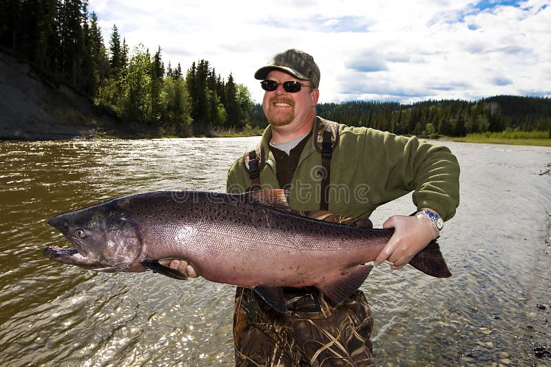 A man standing in the river holding a large Salmon. A man standing in the river holding a large Salmon