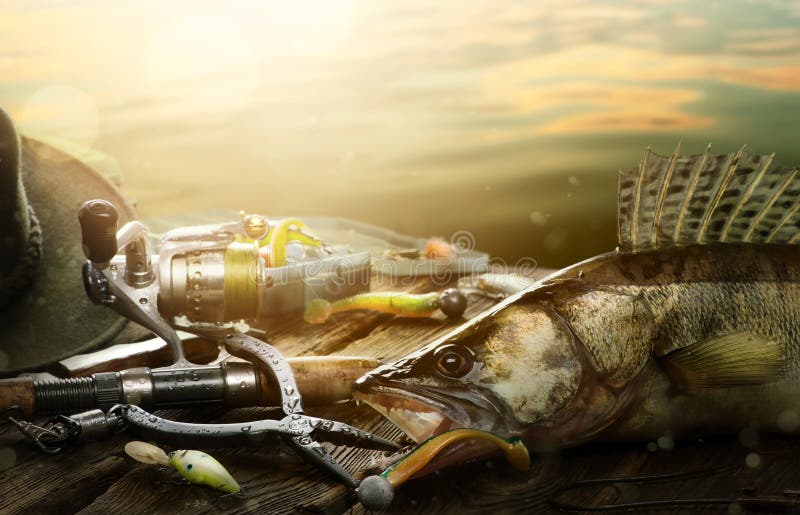 Happy Fishing background; Fishing tackle and trophy zander stock photography Happy Fishing background; Fishing tackle and trophy zander stock photography