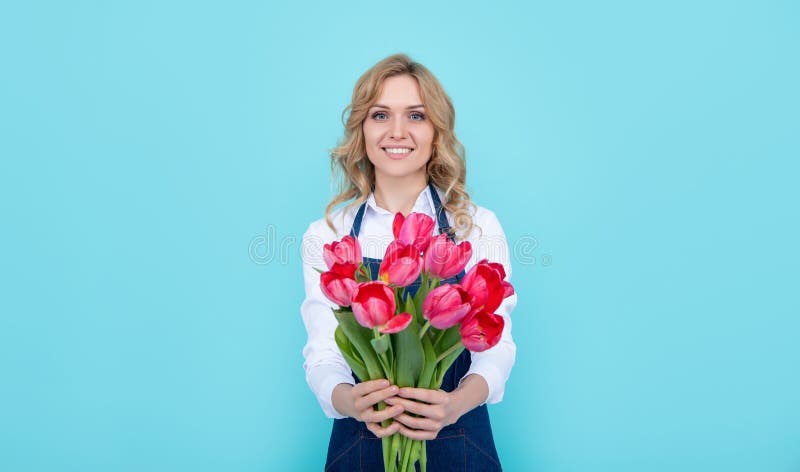 happy girl in apron with spring tulip flowers on blue background royalty free stock photography