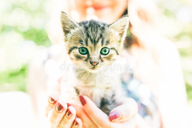 476 Cat Girl Nails Stock Photos - Free & Royalty-Free Stock Photos from  Dreamstime