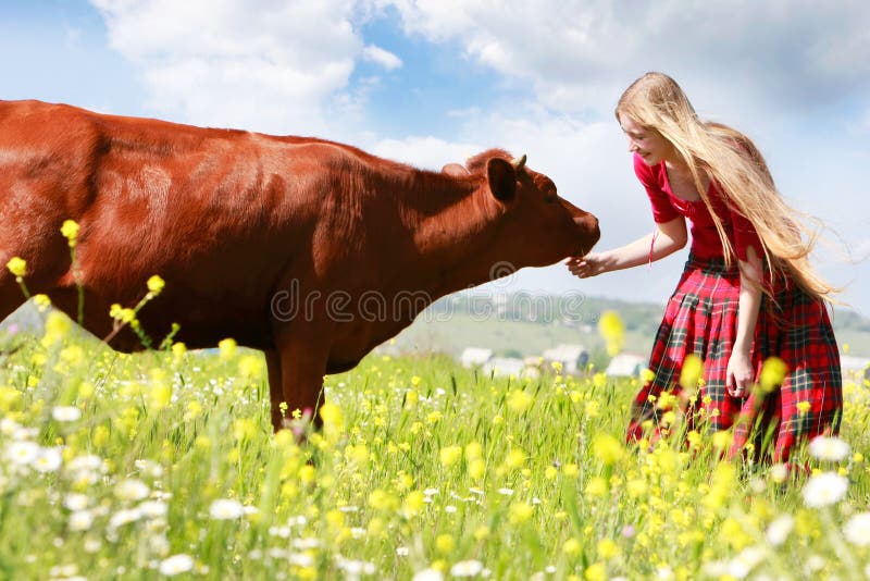 Happy girl feeding cow