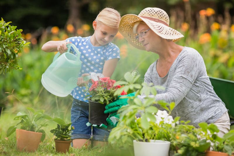 Happy grandmother with her granddaughter gardening. On a sunny day stock photo