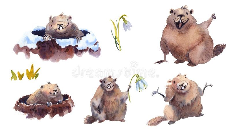 Happy Groundhog Day - hand drawn watercolor collection illustrations groundhog card. Happy Groundhog Day - hand drawn watercolor collection illustrations groundhog card