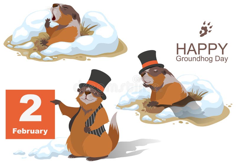 Happy Groundhog Day. Marmot holding February 2. Illustration in vector format