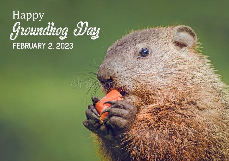 Happy Groundhog Day 2023 text with cute closeup groundhog