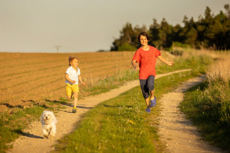 Happy group of children and pet dog, maltese breed, running in the park on sunset, carefree childhood. Out of the city