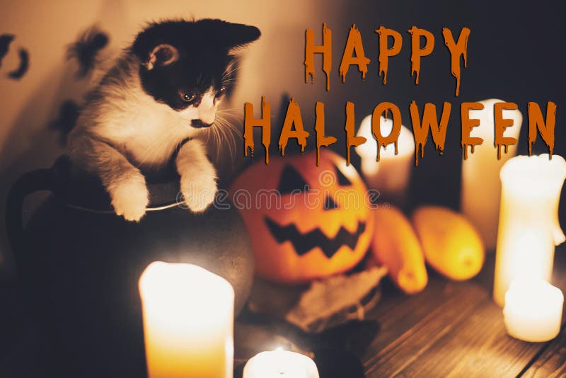 Happy Halloween text concept. Seasons greeting, spooky Halloween