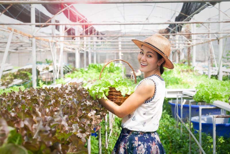 Happy and Healthy Woman in Hydroponics Farm Stock Photo - Image of ...