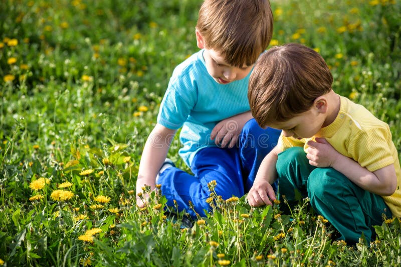Happy kids enjoying sunny late summer and autumn day in nature on green grass. royalty free stock images Happy kids enjoying sunny late summer and autumn day in nature on green grass. royalty free stock images