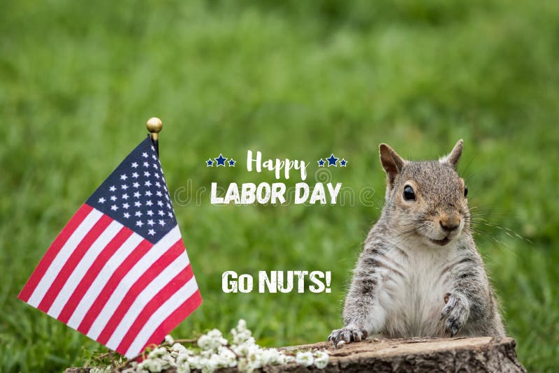Day Funny Labor Poster Stock Photos - Free & Royalty-Free Stock Photos from Dreamstime Day Funny Labor Poster Stock Photos - Free & Royalty-Free Stock Photos from Dreamstime