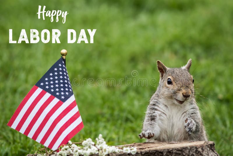 691 Labor Day Funny Stock Photos - Free & Royalty-Free Stock Photos from  Dreamstime