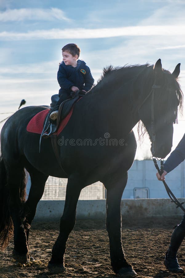 Little Boy Riding Big Horse Stock Photos Free & RoyaltyFree Stock