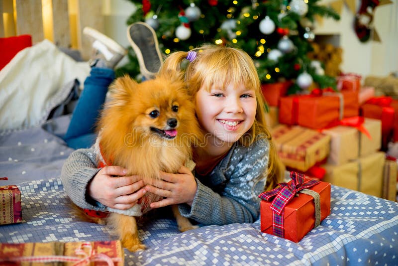 Girl with dog on christmas stock image. Image of beautiful - 106839005