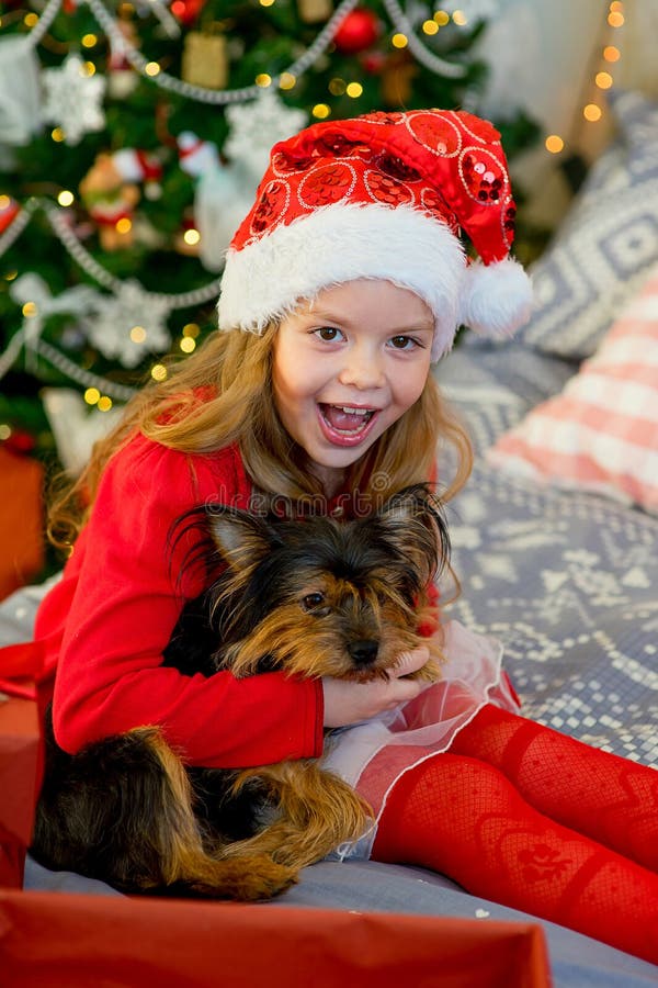 Happy Little Girl and Dog at Christmas Stock Image - Image of little ...