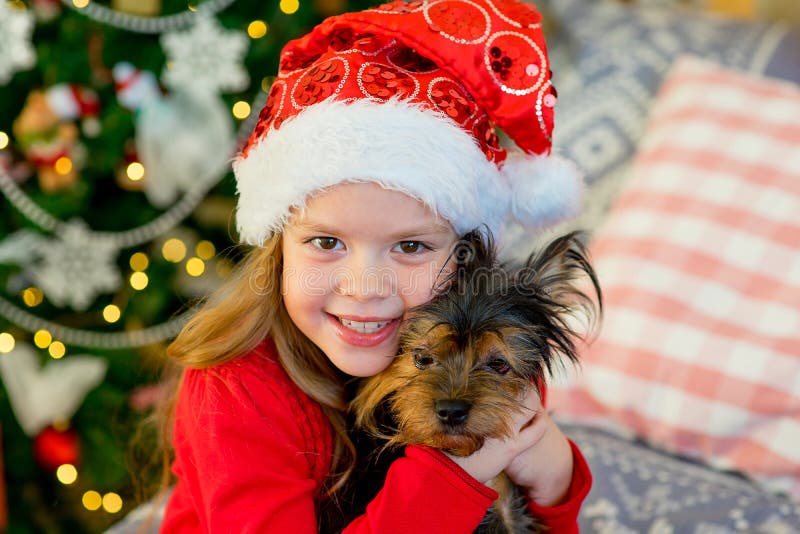 Happy Little Girl and Dog at Christmas Stock Image - Image of holiday ...