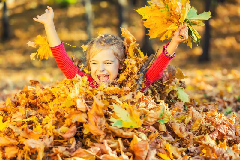 Happy Little Girl Plays with Autumn Leaves Stock Photo - Image of ...