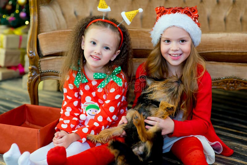 Happy Little Girls and Dog at Christmas Stock Image - Image of little ...
