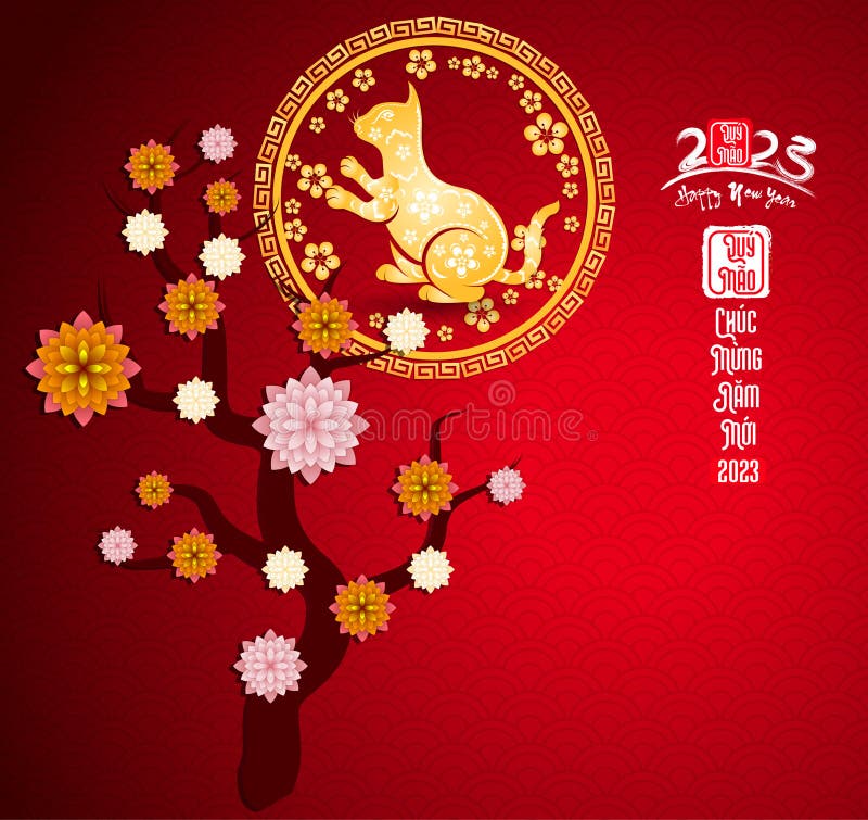 My Image 11