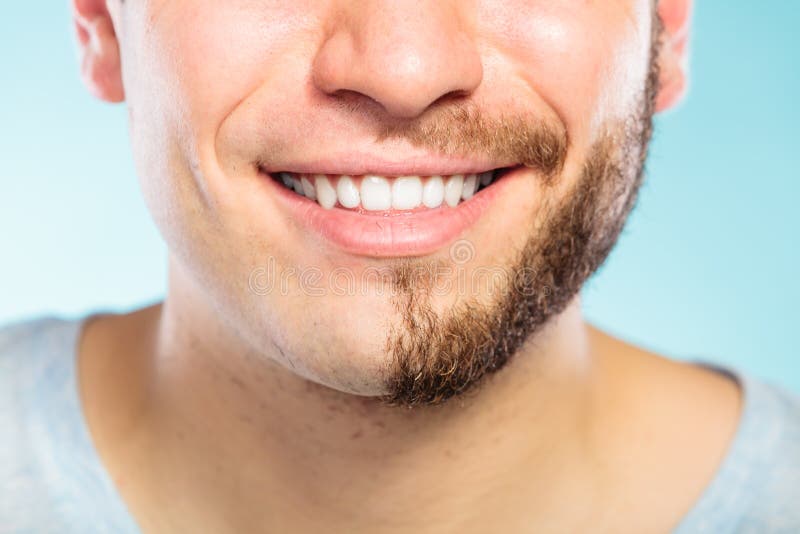blue Chin shaved blue Chin shaved