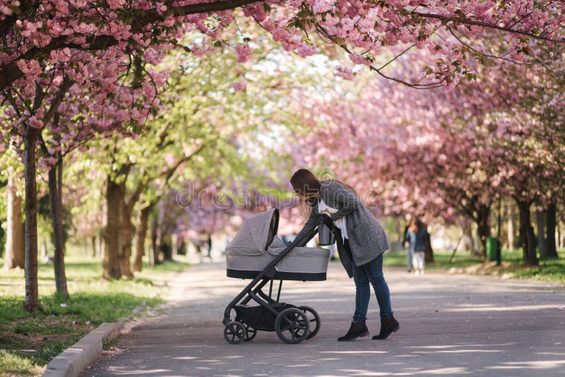 Happy mom walk with her little baby girl in stroller. Background of pink sakura tree stock photos Happy mom walk with her little baby girl in stroller. Background of pink sakura tree stock photos