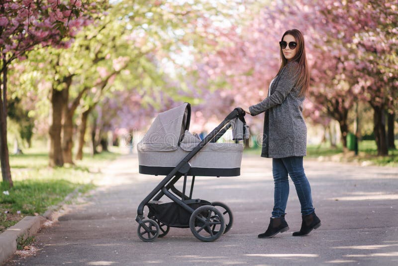 Happy mom walk with her little baby girl in stroller. Background of pink sakura tree royalty free stock image Happy mom walk with her little baby girl in stroller. Background of pink sakura tree royalty free stock image