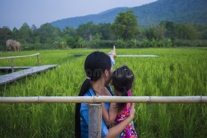 Happy Mother and her child play outdoors having fun, and pointing at something in the Green rice field royalty free stock photo Happy Mother and her child play outdoors having fun, and pointing at something in the Green rice field royalty free stock photo