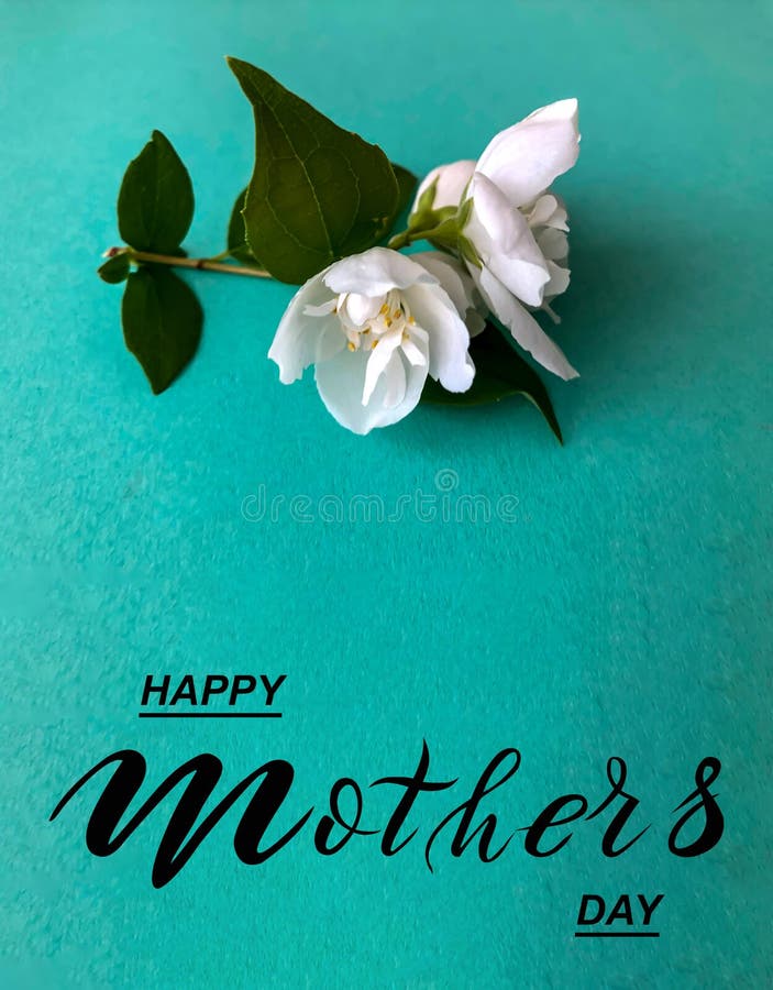 Happy mother`s day! Flat Lay, Banner, Congratulations on Mother`s Day