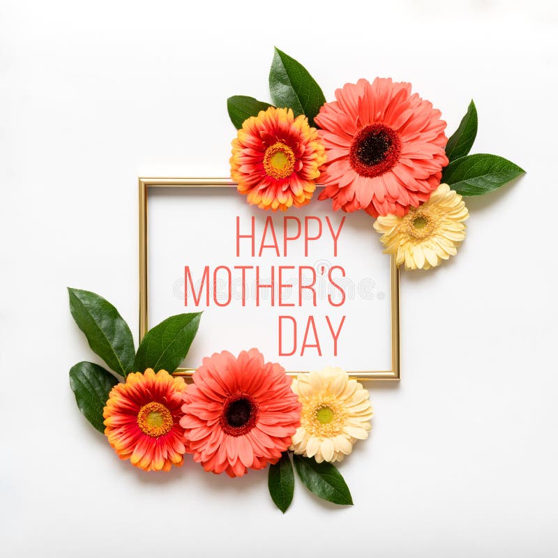 Happy Mother`s Day Living Coral Pantone Color Background. Flat lay greeting card with beautiful coral hue gerbera flowers.
