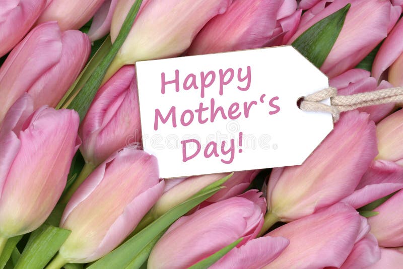 Happy mother's day on tag with tulips flowers royalty free stock photos