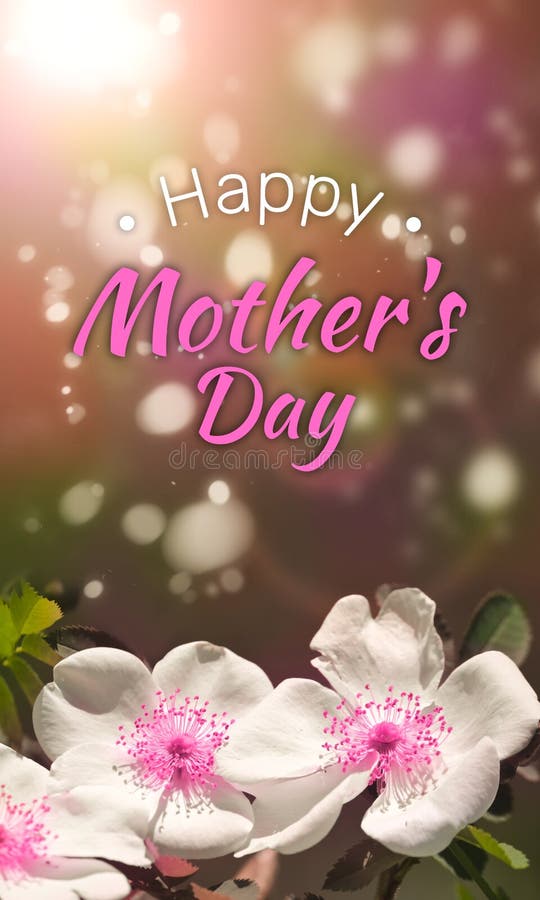 Happy Mother`s Day - Text on Celebratory Background with Flowers. Beautiful Present Stock Photo - Image of mother, lettering: 214919066 Happy Mother`S Day - Text On Celebratory Background With Flowers. Beautiful Present Stock Photo - Image Of Mother, Lettering: 214919066